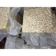 [Hỏa tốc] 1kg nhân hạt macca vỡ nguyên liệu làm sữa hạt ngũ cốc dinh dưỡng healthy maccadamia nut