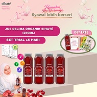 (FREE 1 BOTOL) Jus Delima Sihate Organic Pomegranate Juice Ibu Hamil Mengandung Tiada Gula Tambahan 