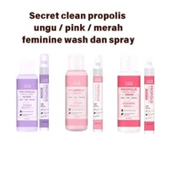 PROPOLIS Secret Clean Feminine Wash & Spray