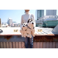 ตุ๊กตา Siberian Husky ไซบีเรียน ฮัสกี้ ขนฟู ท่านั่ง 14/17นิ้ว Anee Park อานี ปาร์ค หมา สุนัข ไซบีเรี
