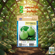 น้ำเต้า พันธุ์ลูกกลม CT/OP-122 ผักซอง เจียไต๋  เมล็ดพันธุ์ เมล็ดพันธุ์ผัก ผักสวนครัว ผักเจียไต๋ ประม
