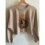 Gryffindor crop Sweater