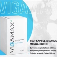 Vigamax Asli Original Obat Pria Herbal Alami Bpom