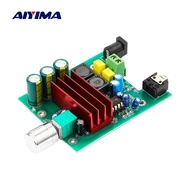 Aiyima TPA3116D2 Subwoofer Digital Power Amplifier Papan TPA3116