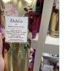 Dahlia Body Cream Bath and Body Works