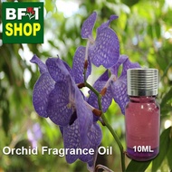 Orchid Fragrance Oil - Blue orchid > Vanda coerulea