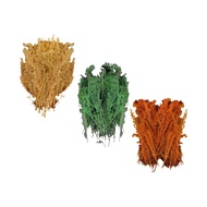 [qjypno] Miniature Trees Fake Trees Sand Layout Model Decoration Architecture Trees Model for 1/72 1