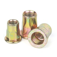 Pull Rivet Nut Plated Color Zinc Flat Rivet Nut Mortise Nut Pulling Nut Blind Nut.../pull rivet nut 