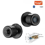 XSDTS Tuya App ลายนิ้วมือสมาร์ทล็อคพร้อมบลูทูธประตูดิจิตอลล็อค Keyless Entry Home House Apartment