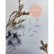 Handmade Camellia 5D Mink Eyelash Extension🌸(500pcs)