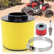 TRX300 Air Filter for Honda Foreman 400 TRX400FW TRX450FE TRX450FM TRX450ES TRX300FW Replace 17254-H