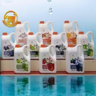 Ta Chung Ho Fruit Syrups - Ta Chung Ho Strawberry Syrup TCH Blueberry TCH Lychee TCH Green Apple TCH