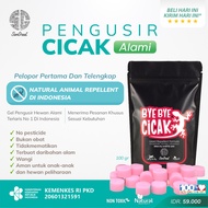 Organic anti-lizard camphor, home gecko repellent, gecko medicine, best natural gecko poison gel Bye