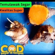Temulawak 1kg Fresh Temulawak Curcuma