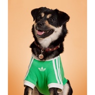 {NERD} Taichung Yimin Store Adidas Pet Collar