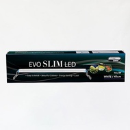 Ocean Free Evo Slim LED Light
