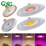 Plyto เต็นท์โรงเรือนกระจกไฟ LED ไฟสำหรับปลูกพืชในร่ม Grow หลอดไฟ LED 220V 8W 24W 28W 36W