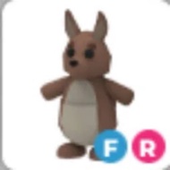 FR Kangaroo / Adopt Me pets For TNG only