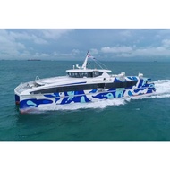 Cheap 2-way Majestic ferry ticket to tg pinang