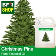 Pure Essential Oil (EO) - Pine - Christmas Pine Essential Oil - 5L