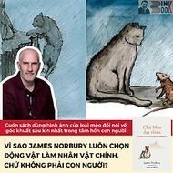 CHÚ MÈO DẠY THIỀN - James Norbury - Hoàng Mỹ Hà dịch – Bookland – AZ Books - NXB Dân Trí