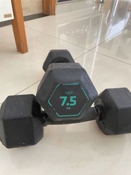(SOLD) 7.5KG 啞鈴一對 健身器材