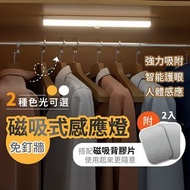 LED 充電 感應燈  衣櫃燈 走廊燈 床頭燈 小夜燈 人體感應燈