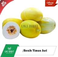 ( 500 Butir ) Benih Timun Suri | Bonteng | Timun Mas | Mentimun Suri Harga Promo