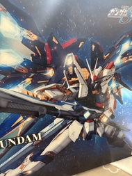 1/60 PG 突擊自由高達 strike freedom gundam 已開齊件