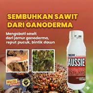 Baja Aussie - untuk Pokok Kelapa Sawit Penggalak Akar dan Pokok Subur Ecolife Farm