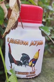 50 tablet kalk ayam - kalk ayam laga - jamu menguatkan tulang ayam - kalsium ayam laga
