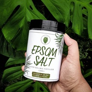 Epsom Salt [IMPORTED] Multipurpose Plant Booster / Water Soluble Fertilizer (500g) For Aroid / Flower / Fruit Tree