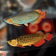Lucky Arowana Sticker Motorcycle Feng Shui Goldfish Decorative Good Luck Link Car Luggage Glass Wate