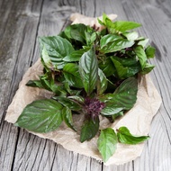 Basil Leaves/Daun Selasih (per Packet)