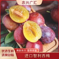 进口智利西梅新鲜水果 当季甜李子精选果 3斤装