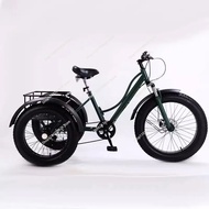 24inch Adult Electric Cargo Tricycle bike 3 wheel Fat tire bicycle scooter motorized electric tricyc