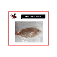 Ikan Talapia Merah (1pcs)