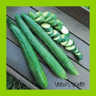 Vege Seeds (10pcs) / Long Cucumber Japanese