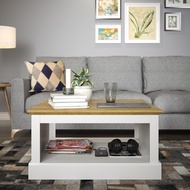 Synergy House Sufy Minimalist Square Coffee Table
