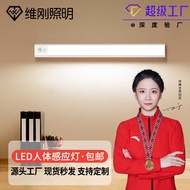 Induction Light Human Body Induction Light 2024 Induction Light Cabinet Light Magnetic led Induction