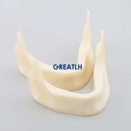 Implant Dental Practise Teeth Model M2025 Jaw Lower Bone Like Dental Teeth Implant Pratise Model
