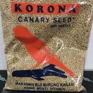 korona kenari seed