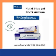 Nutri Plus gel นิวตริ พลัส เจล วิตามินสุนัขและแมว 120.5 กรัม.Exp. 06/2024