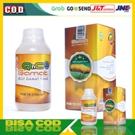Jelly Gamat Gold Qnc Original 100% Original Cv. Jogja Natural Herbal Indonesia