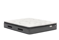 Sealy Hotel Legend Mattress Sealy 床褥