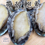 【勝傑水產】買一送一‼ 嚴選頂級帶殼鮑魚10粒(500g/包)-共2包