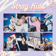 Stray Kids Poster <<dominATE>> celebrATE
