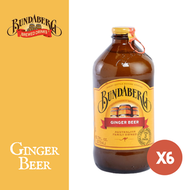 賓得寶 - 薑啤 x 6