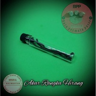 Ginger Frame Root Dried Ginger