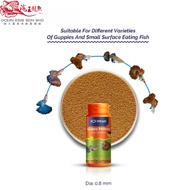 Intan Guppy Pellet 🐠 Player Choice For Guppies & Small Surface Eating Fish | Premium Fish Food
